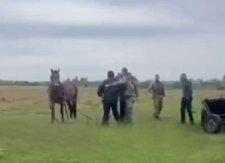 Військкоми намагалися мобілізувати чоловіка просто з поля: відв’язали коня від воза