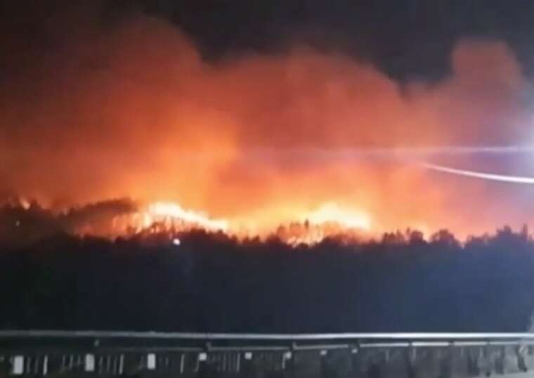 В Амурській області в РФ вирує масштабна лісова пожежа