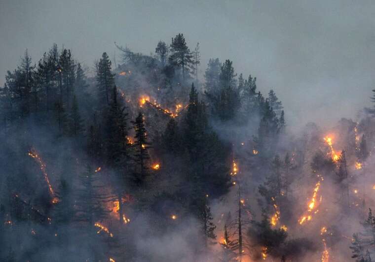В Канаде в лесном пожаре погибли двое людей