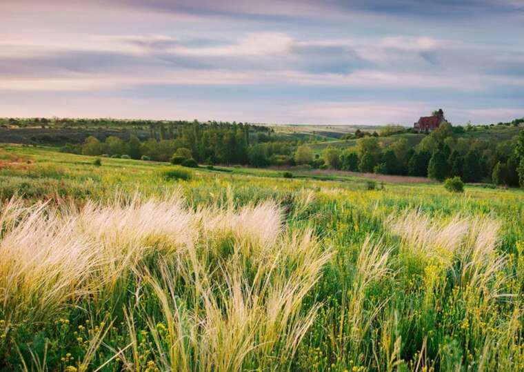 Ukraine controls Vilne Pole in the Donetsk region: the Armed Forces of Ukraine refuted Russian fake news