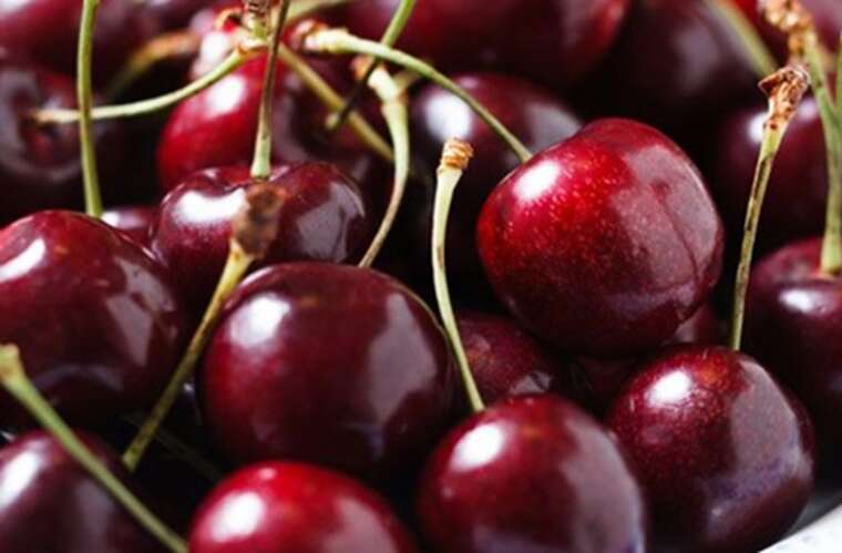 In Ukraine, up to 50% of crops have been lost: a shortage of popular berries is looming in the summer