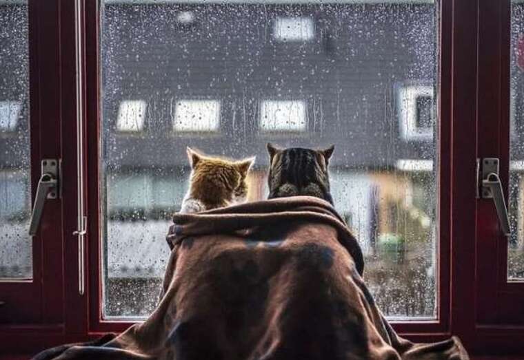 В Украине ожидается похолодание с дождями, - синоптик