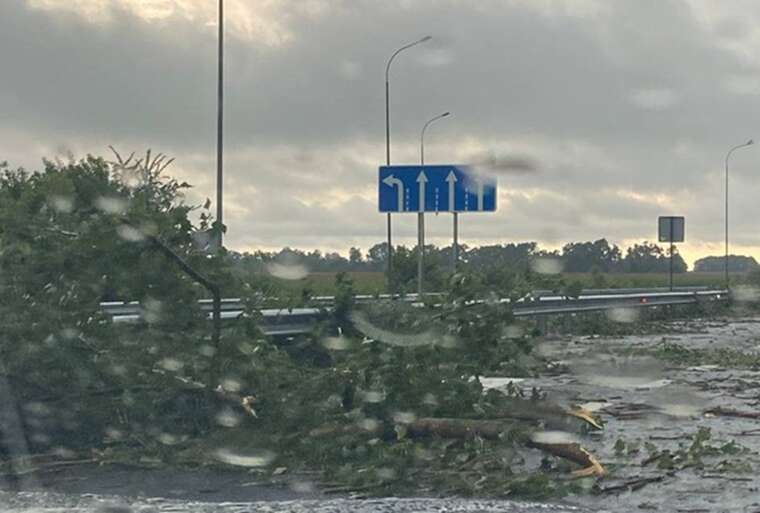 В Киевской области из-за непогоды люди остались без света