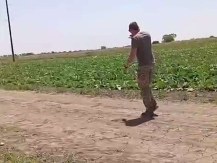 The employees of the TRC arrived at a private farm with a raid: a conflict occurred