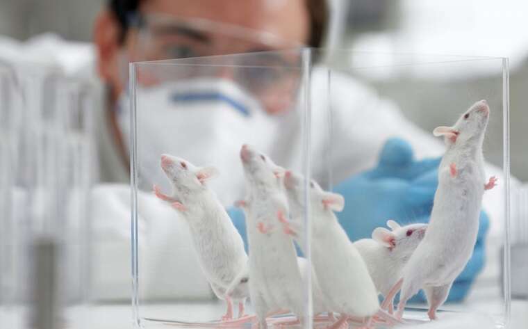 10 тисяч щорічно: У Росії рекордний “відтік мізків”, як у 90-ті