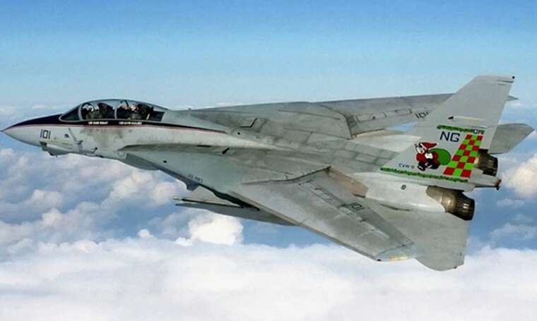      F-14 Tomcat