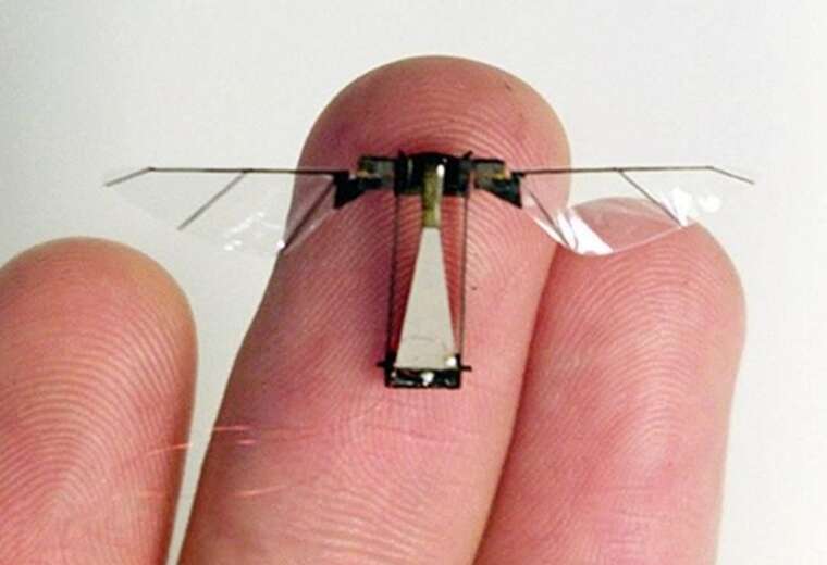 In China, a spy drone the size of an insect has been created