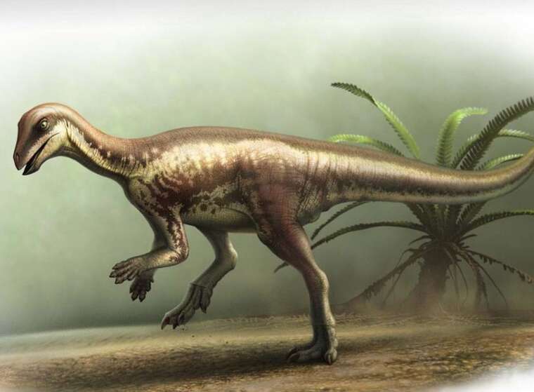 У США виявили новий вид динозавра розміром із лабрадора