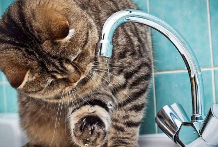 Україні загрожує водна криза: можуть ввести графіки погодинної подачі води