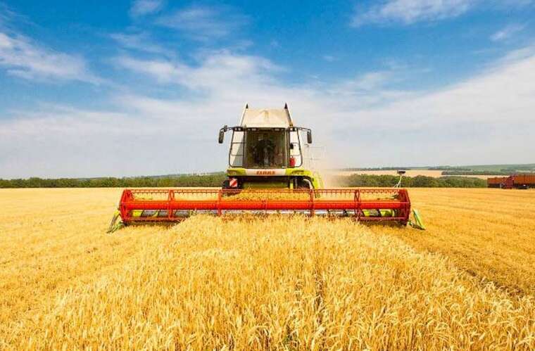 Темпи жнив-2025 відстають від минулорічних у 4,3 раза станом на початок липня