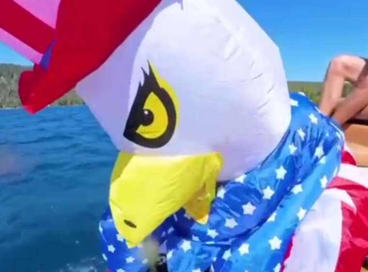 Цукерберг відсвяткував День незалежності США на серфі в образі білоголового орлана