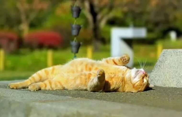 В Україну насувається спека +40