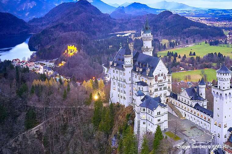 В Германии туристка оставила собаку в камере хранения, чтобы посетить популярный замок