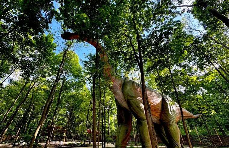 На ВДНГ в Києві згорів динозавр