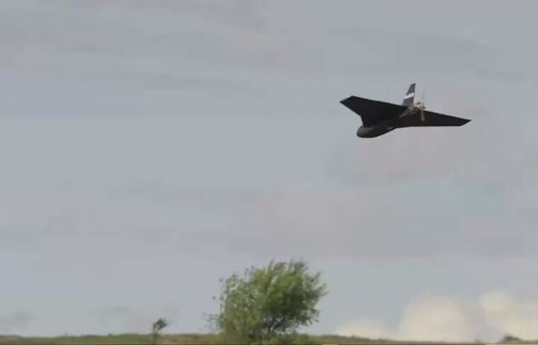 У Литві впав зроблений з фанери безпілотник "Гербера"