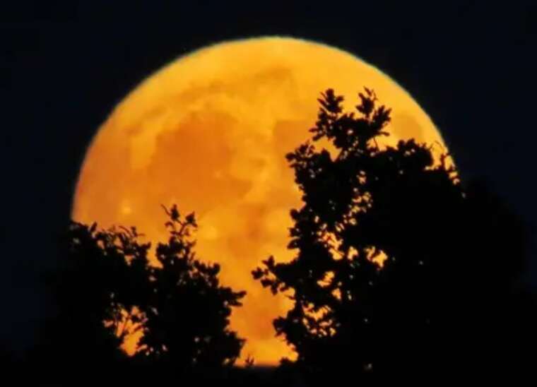 Над Украиной взошла «Оленья Суперлуна» — редкое небесное явление украсило июльское небо