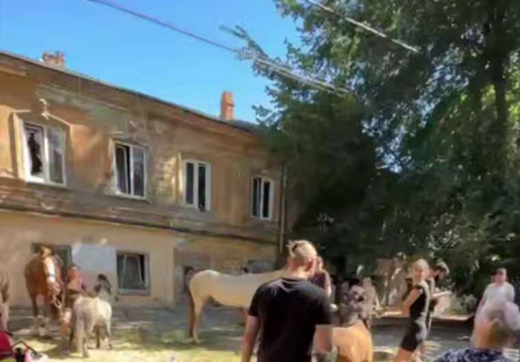 The attack by the RF on Odesa: the enemy struck the stable