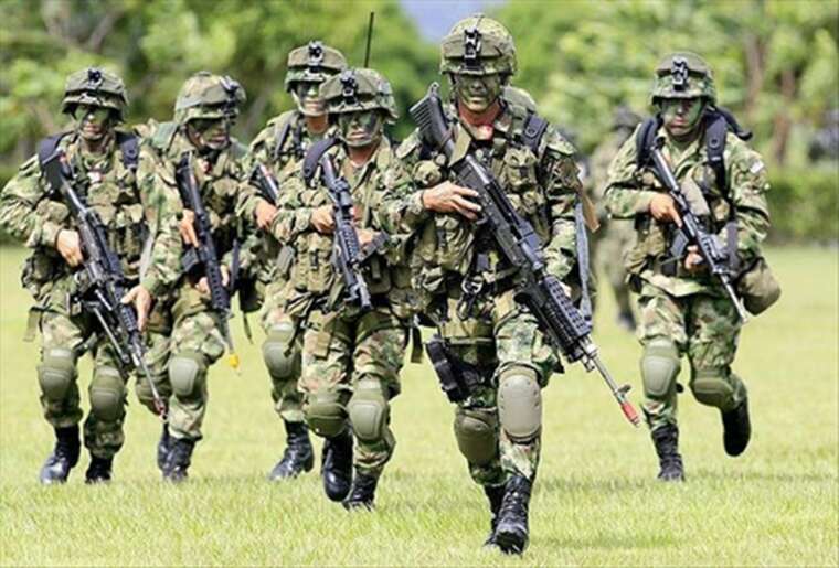 Осел-камікадзе: повстанці в Колумбії атакували військових за допомогою начиненої вибухівкою тварини