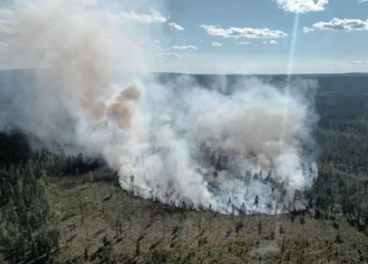 У Лапландії палають десятки гектарів лісу