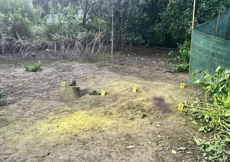 На Закарпатті через вибух гранати тяжко травмований підліток