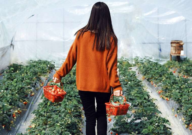 Протягом року в Німеччині 80 тисяч українців отримали роботу