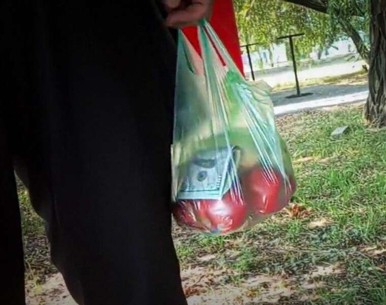 A judge from Dnipropetrovsk region received a bribe in a bag of apples  NABU