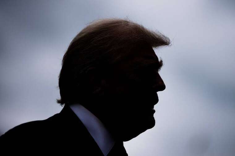      100%     ,  Bloomberg