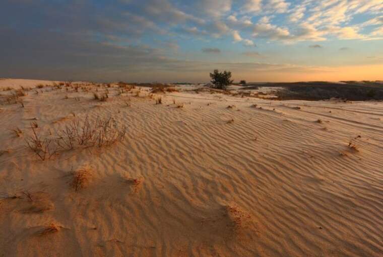 Україна може перетворитися на Африку до 2050 року