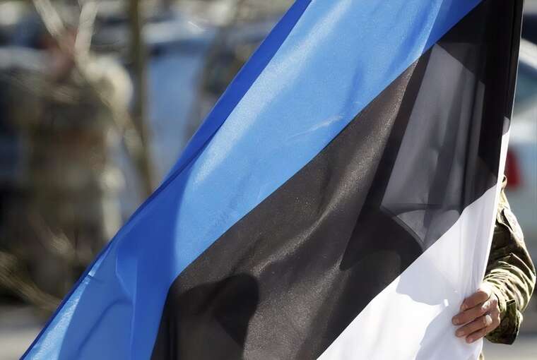 Міхал: Естонія планує відправити підрозділ миротворців в Україну