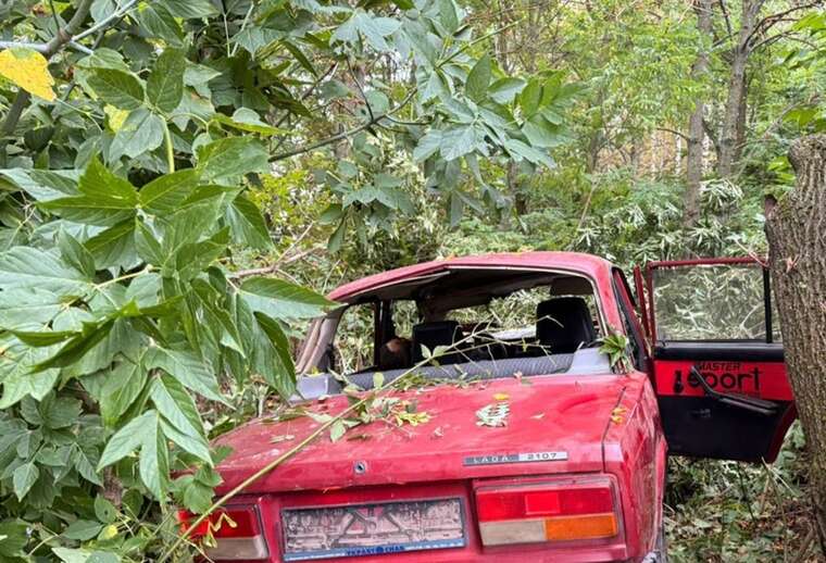 Окупанти завдали удару дроном по авто на Сумщині: є жертва й поранені
