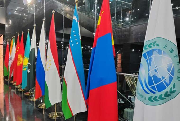 Зеленський і Моді скоординували позиції перед самітом Шанхайської організації співробітництва