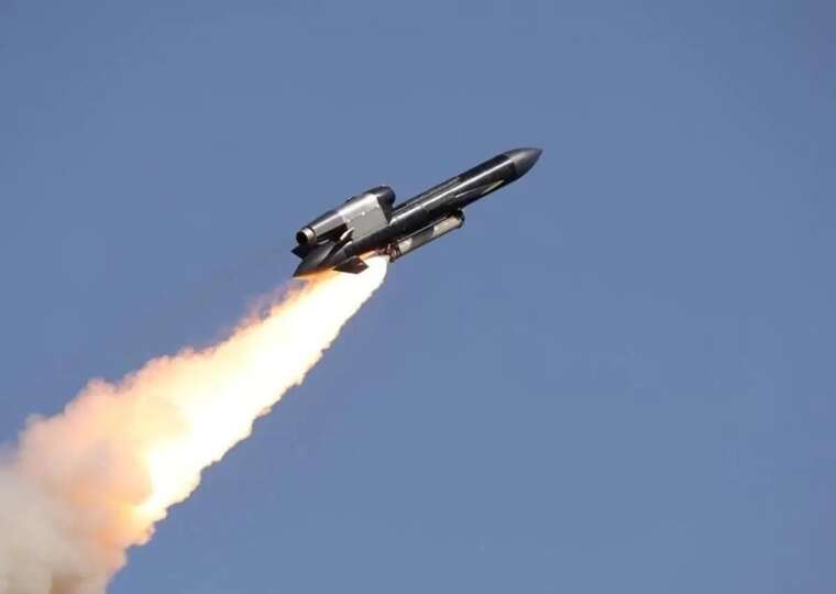 The developer of "Flamingo" announced new high-precision missiles and anti-air systems