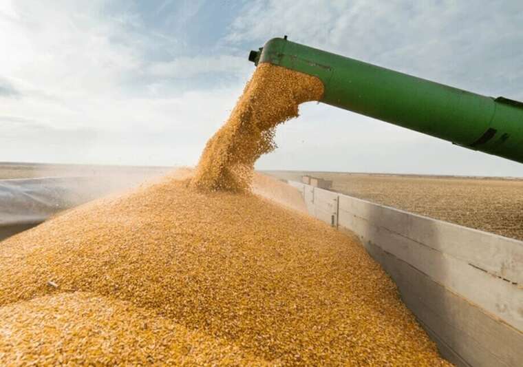 The occupiers have removed over 36,000 tons of Ukrainian grain from Mariupol  city council