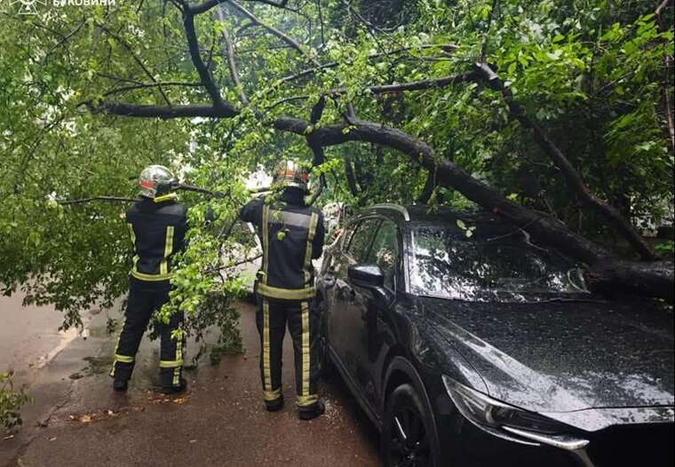 In the Kyiv region, thousands of families were left without electricity due to bad weather