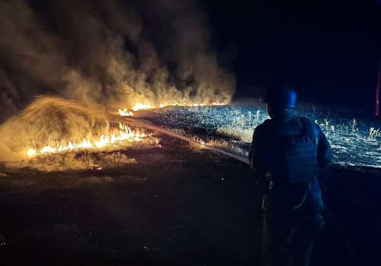 Россияне атаковали FPV-дронами Николаевскую область