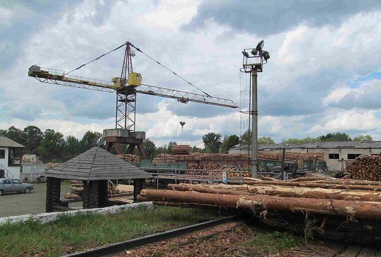 In the Rivne region, a corruption scheme has been uncovered in the SE "Kostopil Forestry"