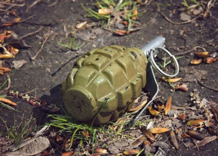 In the Kyiv region, a grenade exploded in a garbage container, resulting in the death of a woman