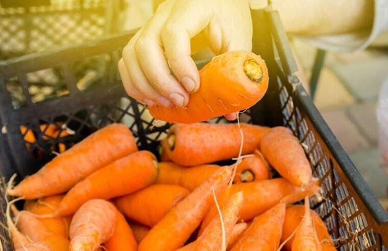 In the Lviv region, a man was supplying drugs to the colony by hiding them in carrots