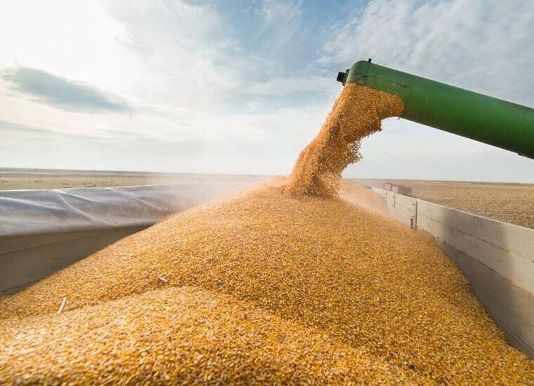 Kyivs "V Agro" increases billion-dollar revenues during the war