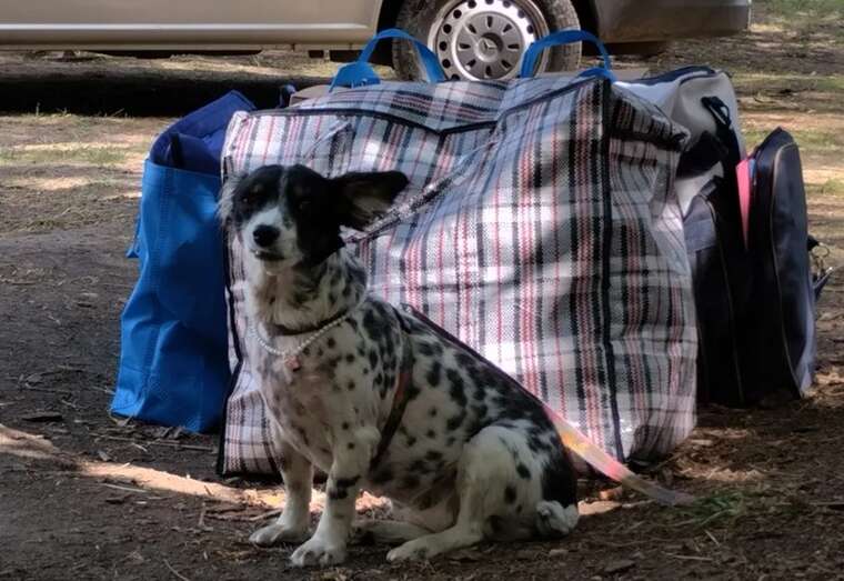 «Усі виїжджають»: Жителька Дніпропетровщини розповіла про масову евакуацію через наступ РФ