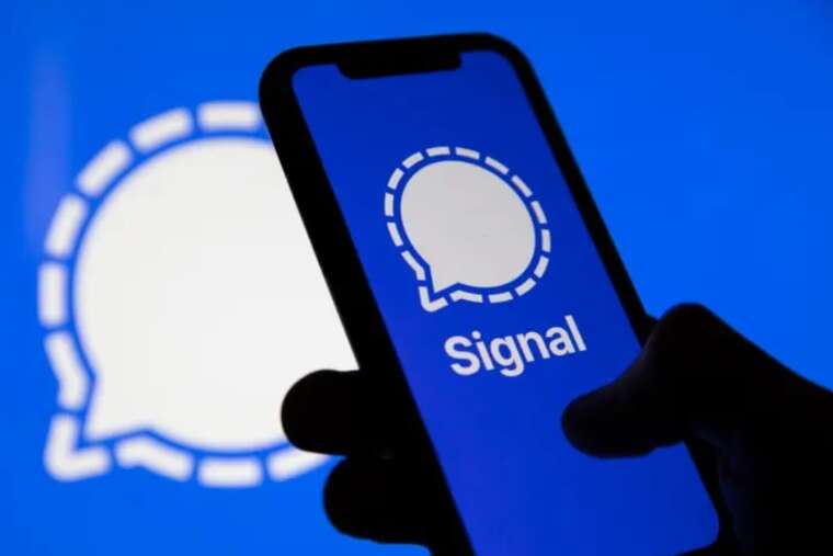 Signal        
