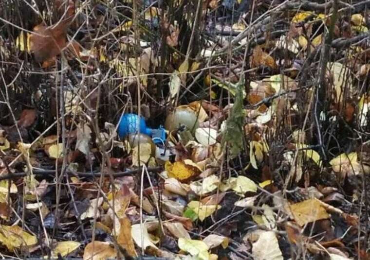 Три гранаты возле вокзала: в Черниговской области энергетики обнаружили опасную находку