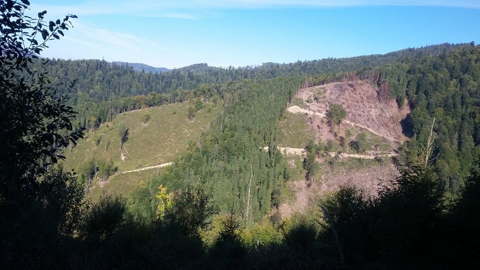 12088152_903569449729052_7045832195829235350_n dqxikeidqxiqqeant