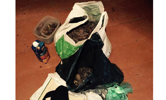 янтарь dqxikeidqxiqqeant