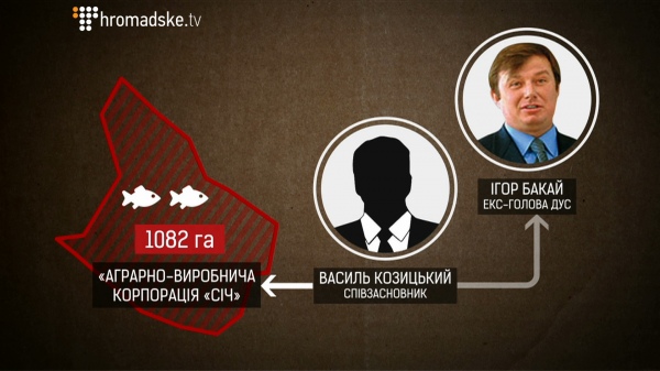 54843cb-poligon-screen-17