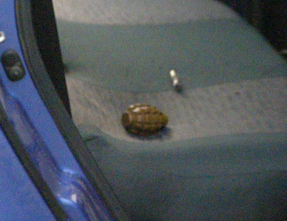 Лубни---граната-в-таксі-2 dqxikeidqxiqqeant