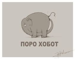 Ch4blyiWUAEPmLG.jpg Ch4blyiWUAEPmLG.jpg dqxikeidqxiqqeant