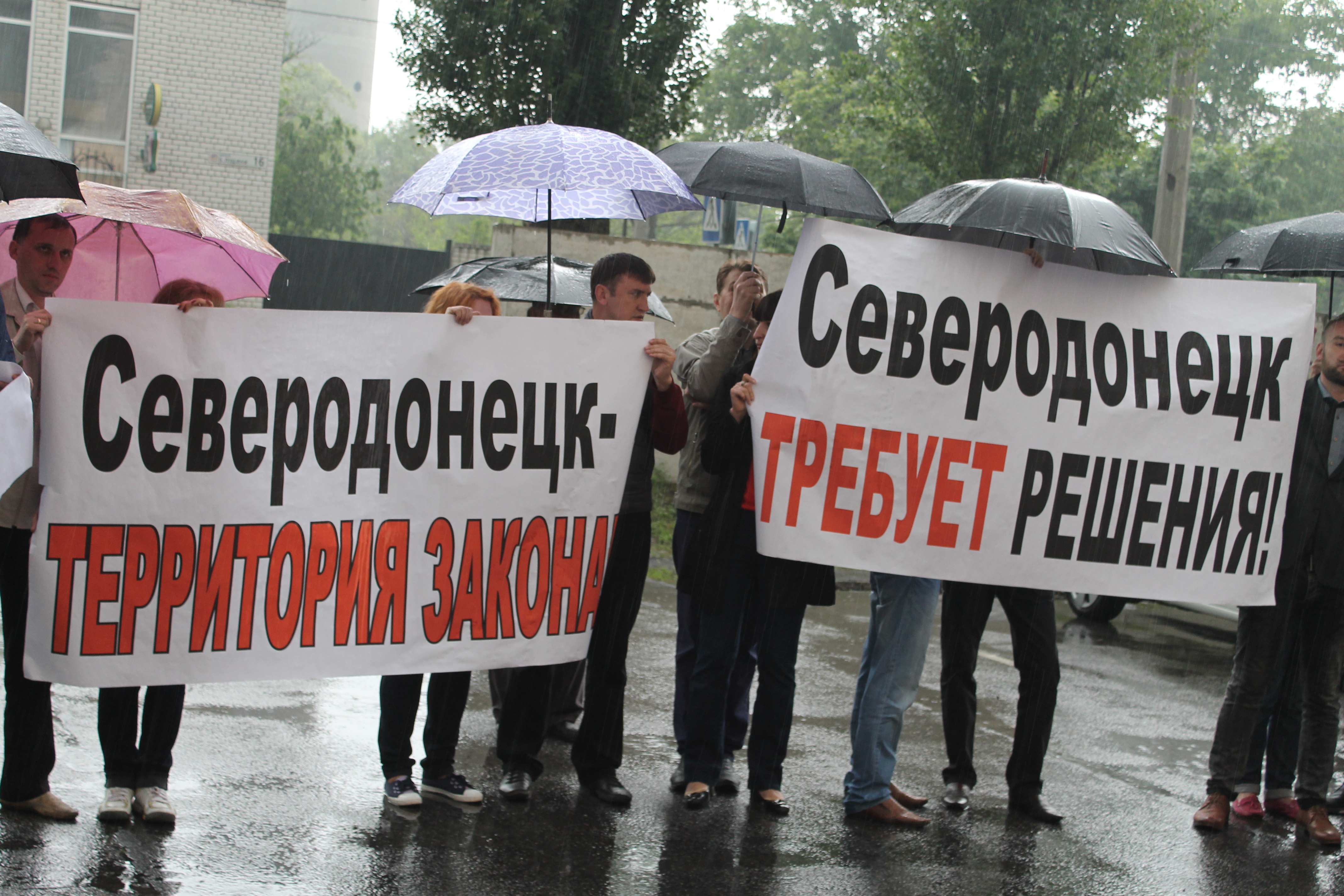 Odoo CMS- Sample image floating dqxikeidqxiqqeant