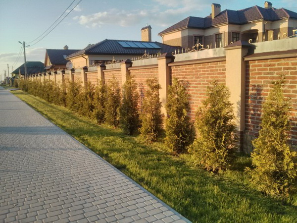 95 dqxikeidqxiqqeant