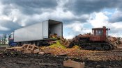 В Ростовской области уничтожили рекордную партию яблок: бульдозер раздавил 178 тонн В Ростовской области уничтожили рекордную партию яблок: бульдозер раздавил 178 тонн